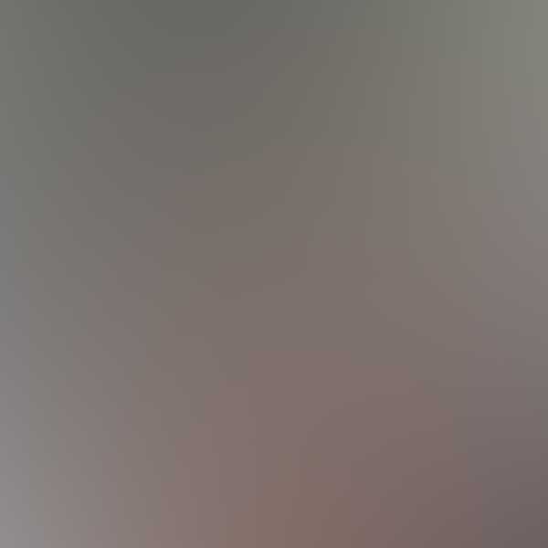  E. Nobile Propiedades